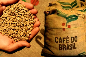 Бразилии впервые пришлось импортировать в страну кофе