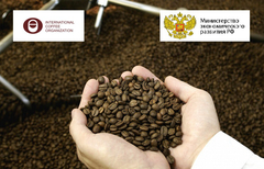 Минэкономразвития представит РФ в Международной организации по кофе